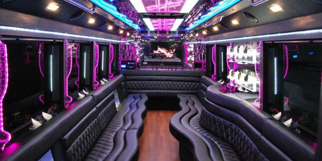 Party Bus fleet pic